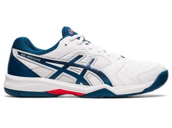 Asics Erkek GEL-DEDICATE 6 Tenis Ayakkabısı TR701CO